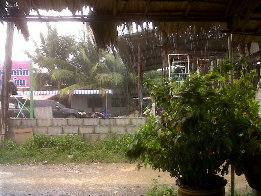 งานเข้า ฝนลง><