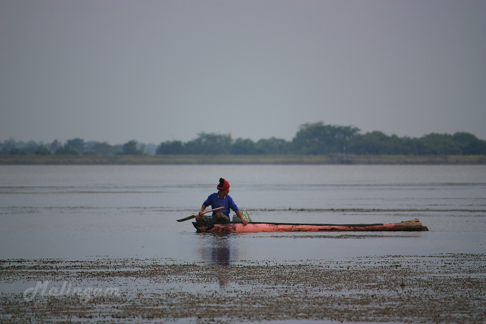 [b] เก็บข่าย....สีเรือหวานจริงๆ  :laughing: [/b]