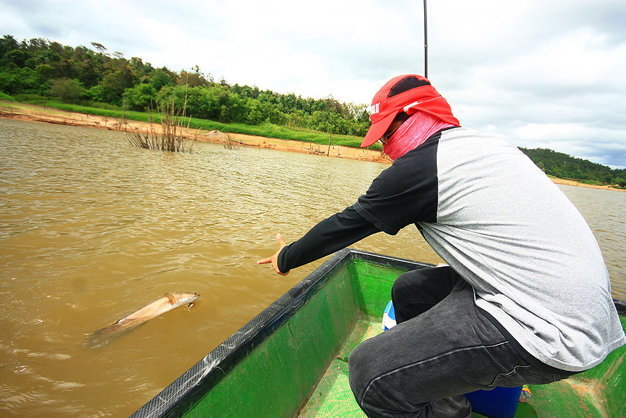 มันกัดจริงนะเพ่โปร ไม่ได้เกี่ยวข้าง  :laughing: :laughing: :laughing: