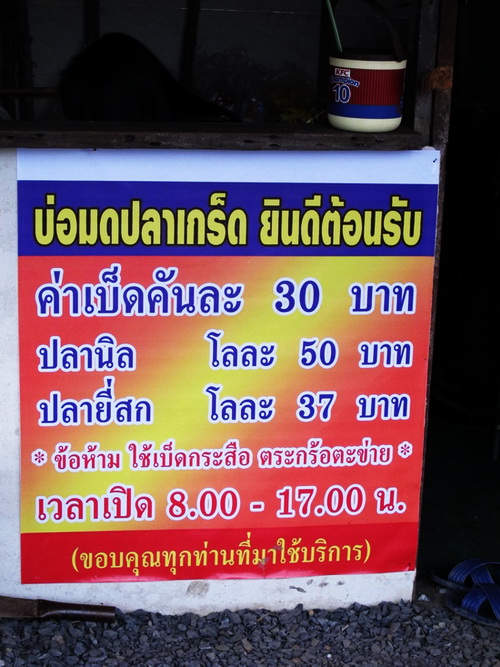                                                                                           กติกามารยา