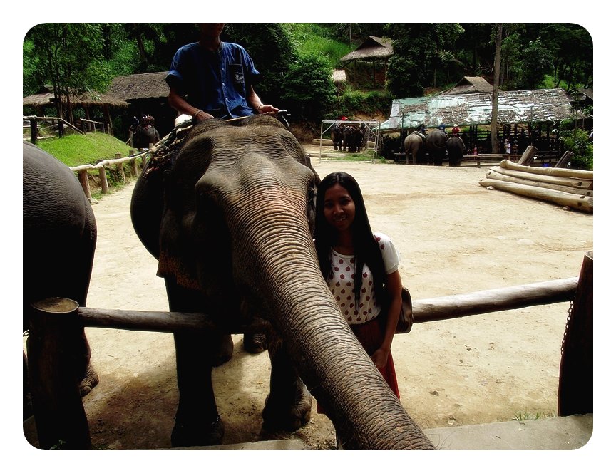 ผบ. กับ ช้าง......ส่วนใหญ่นักท่องเที่ยวจะเป็นคนต่างชาติครับ  คนไทยไม่ค่อยเยอะเท่าไหร่ งง...ทำไมไม่มา