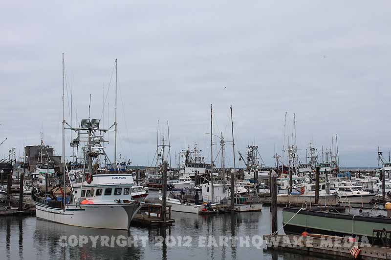 Take your pick of boats... :grin: :grin: