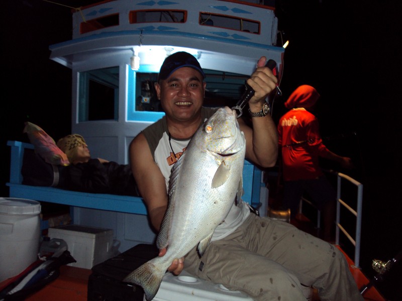 Threadfin Fish by Light Jigging: เพชรบุรี