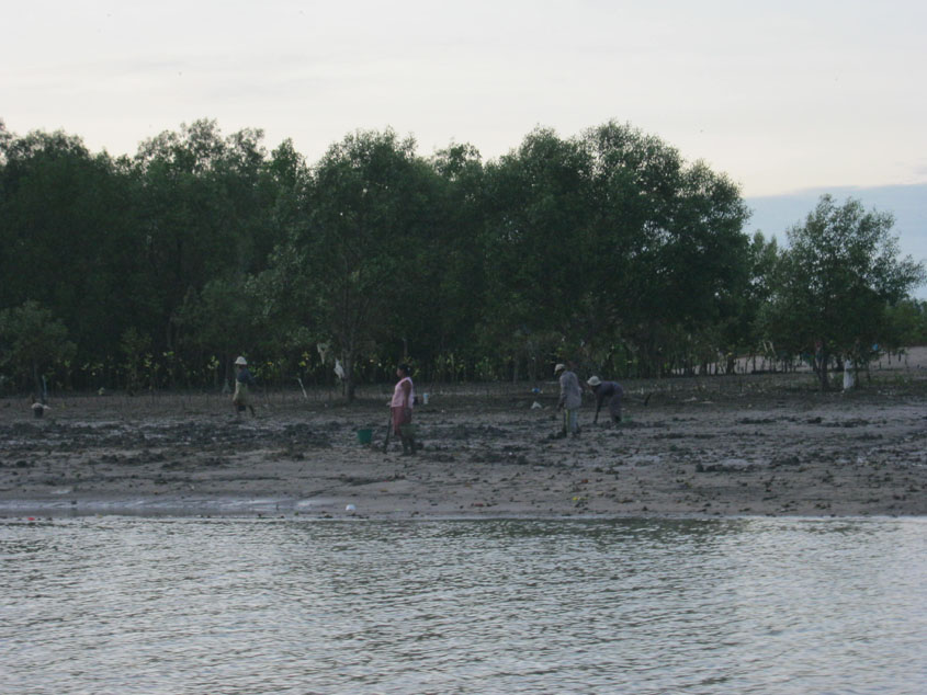 บรรยากาศยามเย็นชาวพม่ากำลังขุดหาหอยกัน