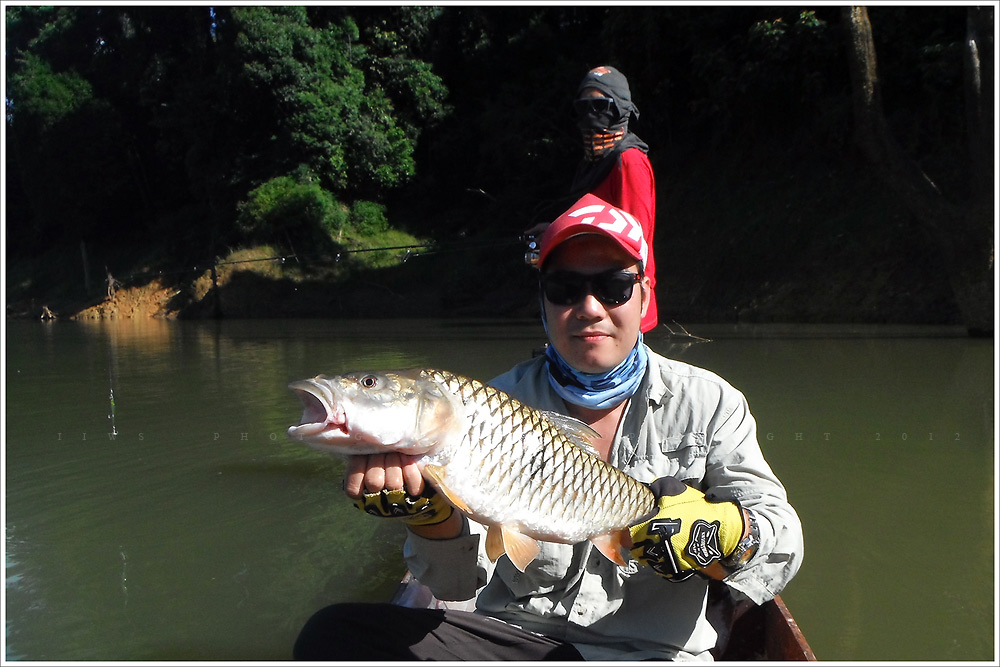 


กระสูบตัวใหญ่ที่สุดของทริพ

โดย นัทปลากัด  ครับ







 :laughing: :laughing: :laugh