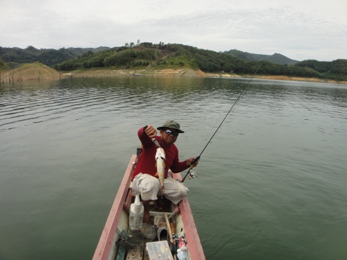 กลับไปเปลียนเรือลำใหม่ ออกมาหน่อยเดียว ปลากระสูบขึ้นฝูงโบกหางบอกขอไปด้วย เลยแวะรับขึ้นเรือมาก่อน หนึ