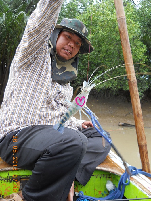 พอเรือจอดลงเบ็ดเสร็จ ไต๋็เอาตัวแรกขึ้นมา ใหญ่มากกกก  :love: :love: :love: