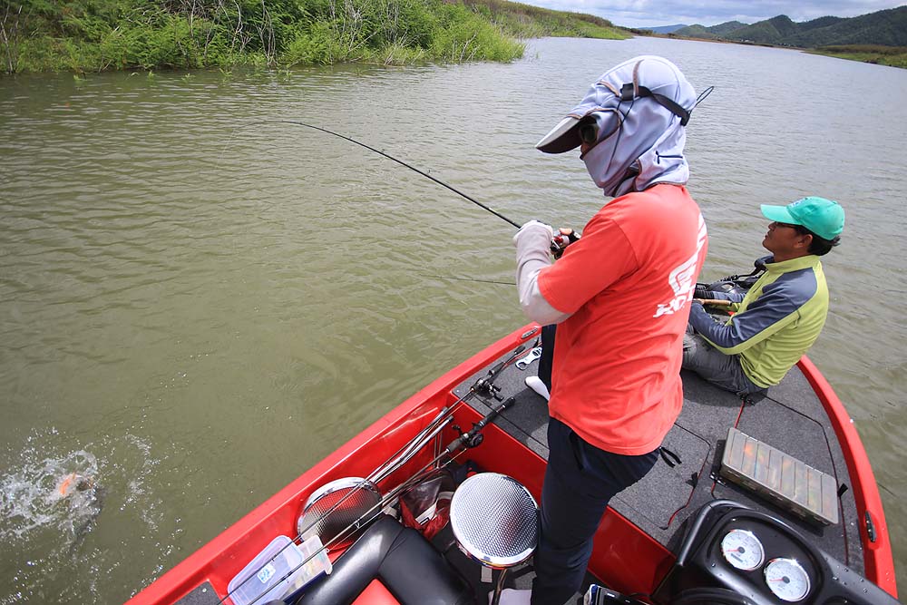 สปินเนอร์เบทตัวเก่า โดนกัดทั้งซ้ายและขวาของเรือเลยครับ