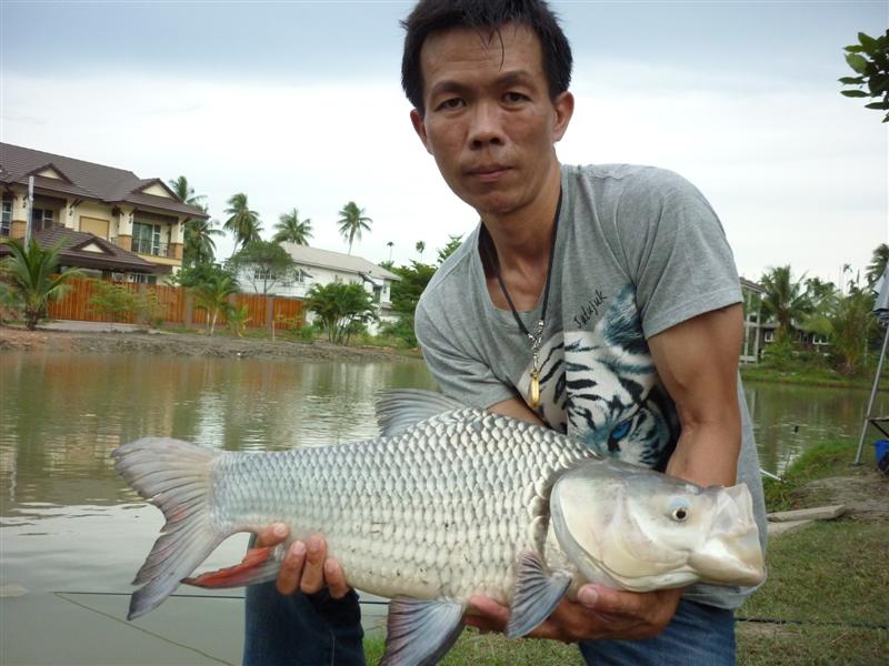                                         เป็นหน่วยสุดท้ายปิดทริปสำหรับวันนี้ครับ หากผมไม่ต้องใช้ยารัก