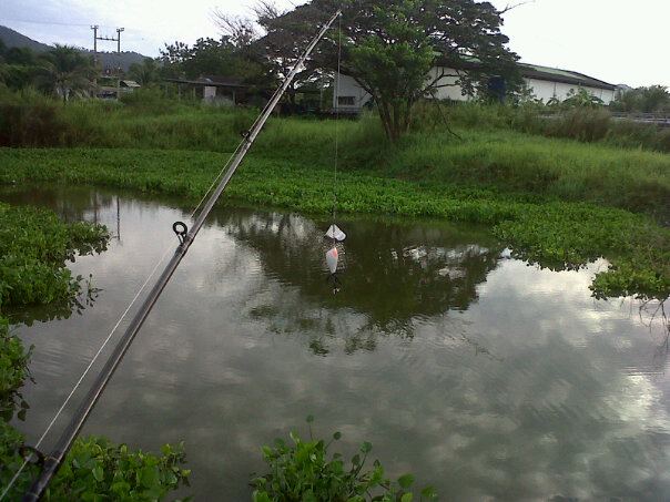 แล้วก็ยืนด้านในสุดของสะพานตรงนี้ขึ้นผิวนำ้บ่อยมากครับ