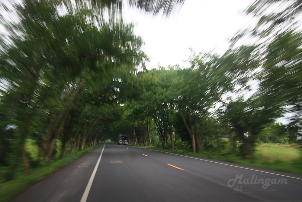 ถนนเส้น พิมาย- ชุมพวง  มีช่วงหนึ่ง  
คล้ายอุโมงค์  ต้นไม้  สวยดีครับ  ถ้าต้องขยายถนน แล้วโดนตัด  ก็