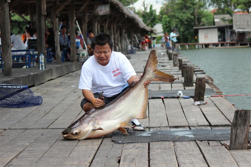 ไอ้ตัวนี้แกล้งคนแก่    :cheer: :cheer: :cheer: