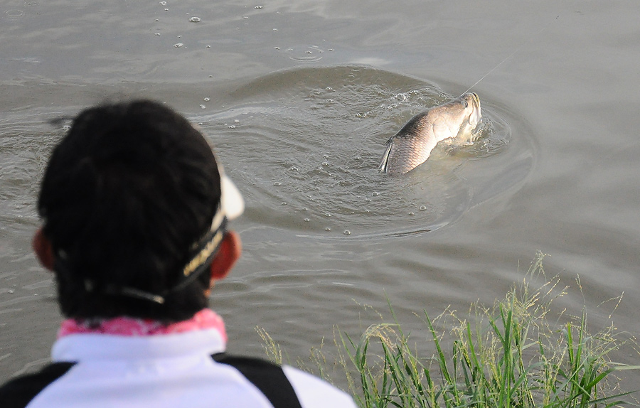 เมื่อกี้ถ่ายไม่ทัน มาทีนี้ดันถ่ายก่อนโดดอีก :laughing: :laughing: :laughing: :laughing: