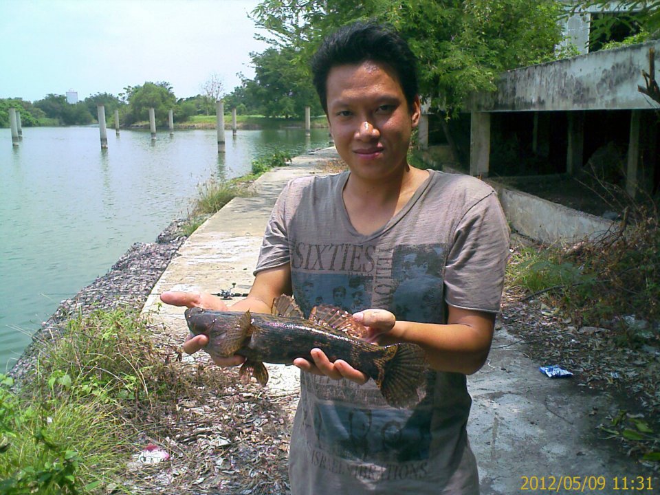 ขอฝากเนื้อฝากตัวกระทู้แรกครับกับครอบครัว siamfishing ที่อบอุ่น