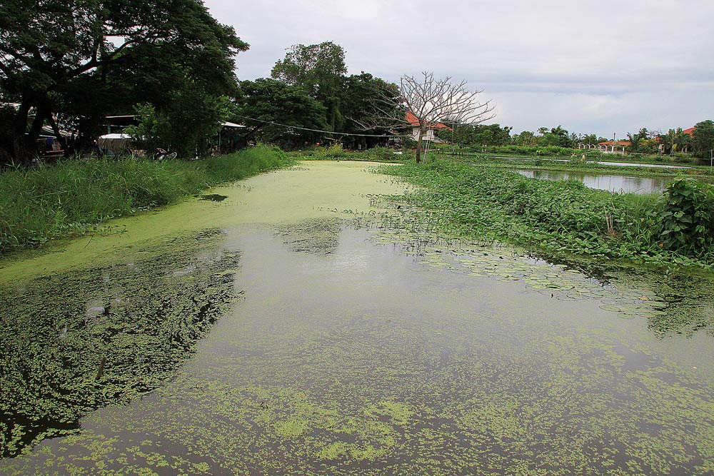 หมายวันนี้ :umh: