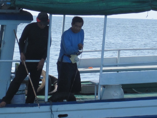เรือชุมพรโลหะกิจของเฮียเกี้ย ปลากำลังกินเบ็ดเลยครับ น่าจะใหญ่เห็นคันงี้งองุ้มเลยครับ :ohh: :ohh: