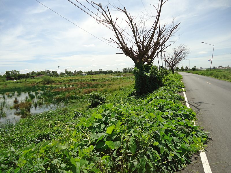 วิว..สวยๆ ข้างทาง  ครับผม !!!  :grin: :grin: :grin:

( กินเสร็จ..ก็ลุยกันต่อเลย )  :cheer: :cheer: