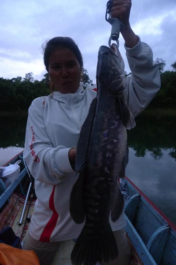 Misses Farang Ba frist big fish!!!3kg+ :love: :cheer: :cheer: :cheer: :cheer: :cheer: