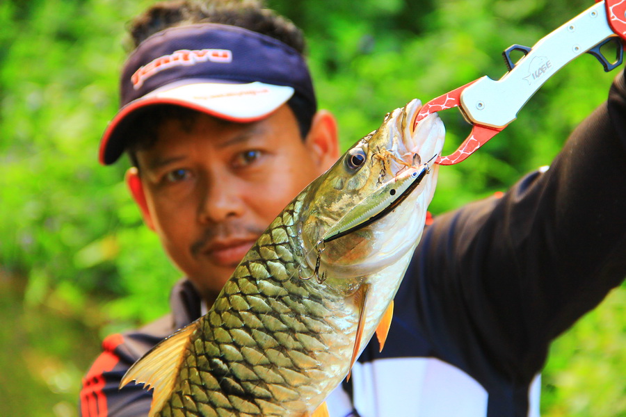 ตัวนี้กัดเหยื่อ Rapala Flatrap 08   :cheer: