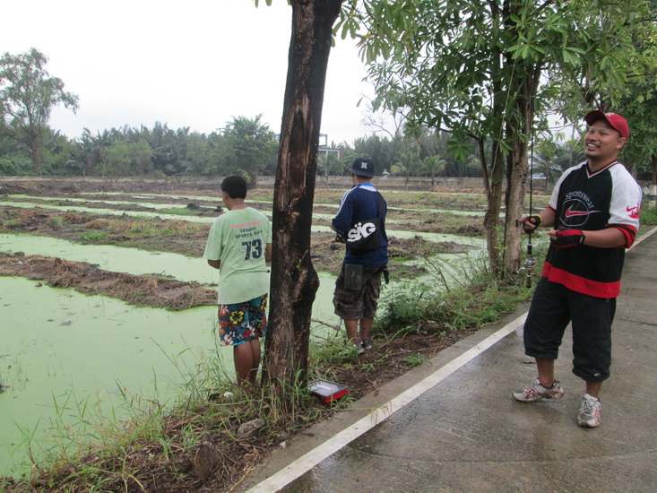 พวกเราตกกันอย่างสนุกสนานเลยครับฝนตกเราก็ตกปลาด้วยนะครับไม่มีถอยกันเลยครับผม