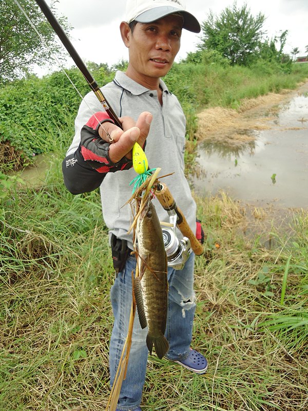 พี่ทุย..กดมาอีก ที่ร่องเดิม ครับผม !!!   :ohh: :ohh: :cool: :cool: :cool:

 :cheer: :cheer: :cheer