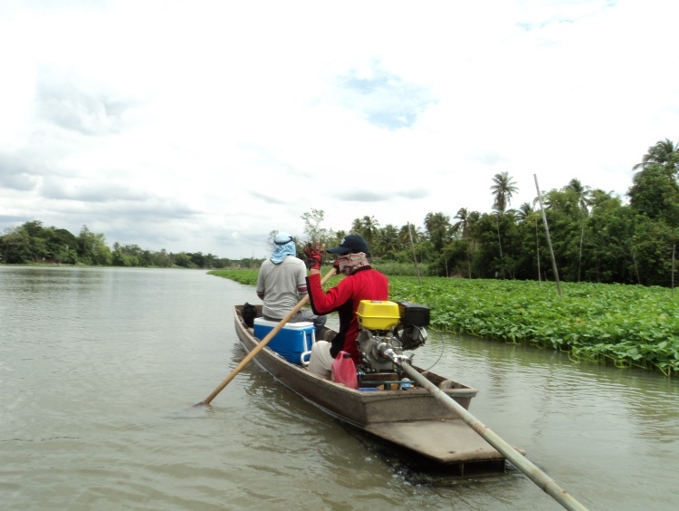 แล้วก็ล่องเรือมาเจอกัน ลำตาเรดออกให้น้าทศพล แจ้งยอด บวกไป 4 ครับ :love: :love: