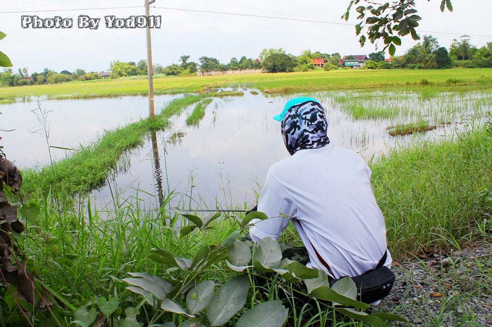 แสดงว่ายังไม่รู้สิว่าปลาเป็นไง :laughing: :laughing: :laughing: :laughing: :laughing: