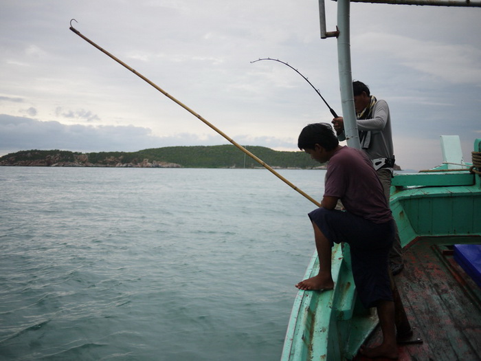 ปลาทริปนี่กินหน้าเรือจริงๆๆเลย อิฉฉาจัง