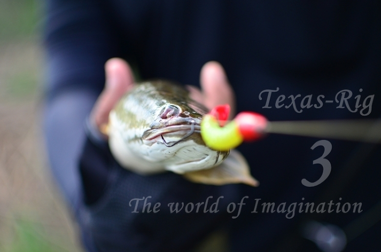 TEXAS-RIG  3  ( The world of Imagination ) Update หน้า 3 