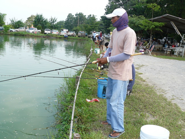 พี่ต่าย ทีมงานบ่อPN ยืนเฝ้าปลาใหญ่ :cool: :cool: