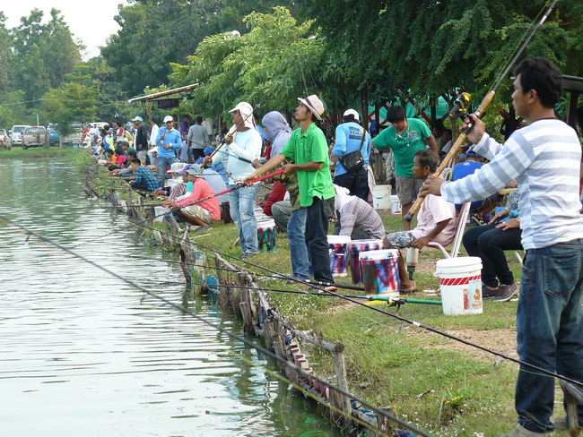 บรรยากาศท้ายบ่อ++++เอ!!!! พี่ราชสีห์ หลบแดดซะไม่เห็นเลยนะเนี่ย :grin: :grin: :grin: