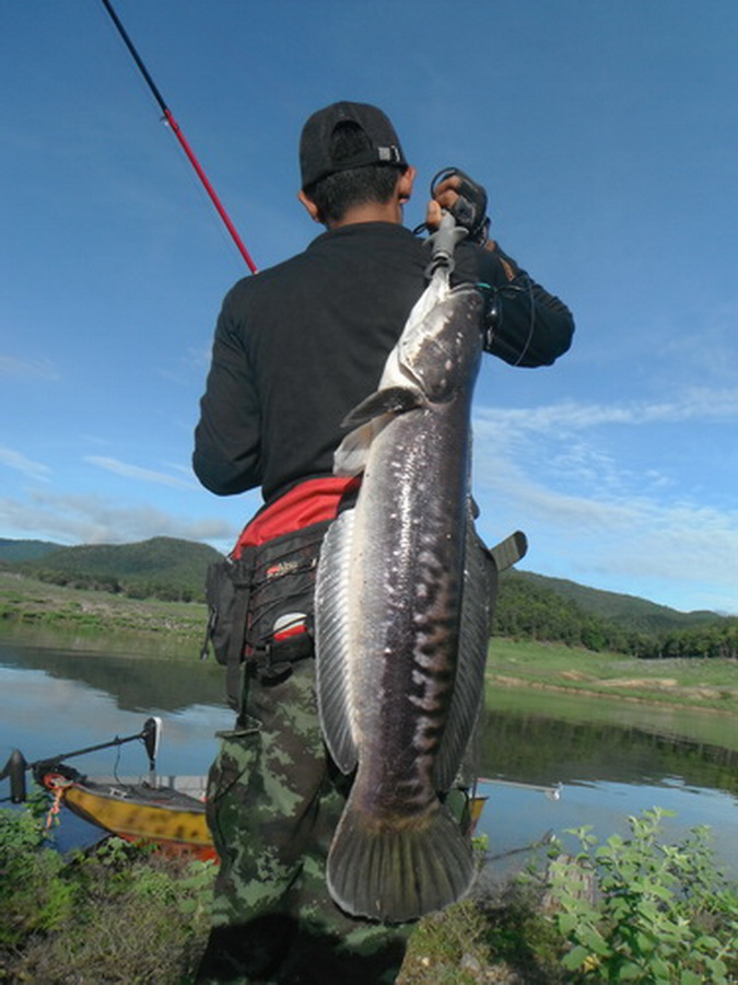 สุขกาย สุขใจ ที่เขื่อนภูมิพล