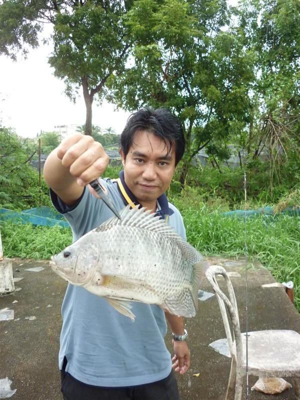                     แต่ฝนก็เทเสียนานครับ ไม่ทันไรเย็นย่ำเสียแล้ว มาก็บ่ายแก่ๆแล้วล่ะครับ 