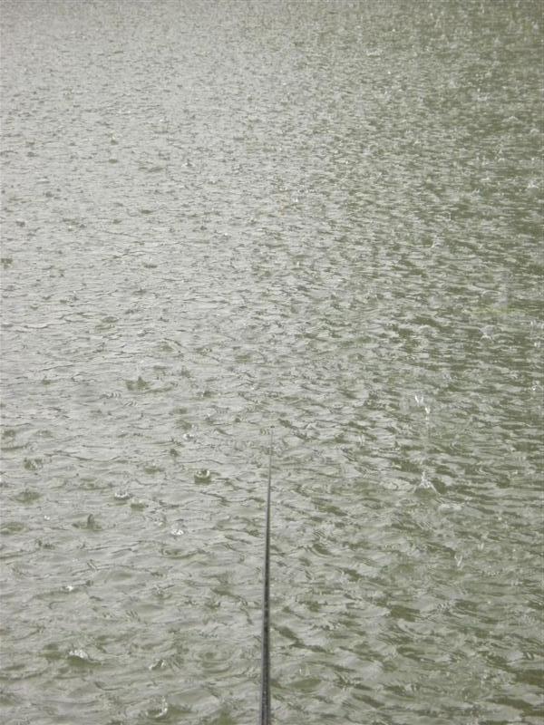                                   หลังจากนั้นฝนก็เทหนักมากครับ   พอฝนซาเม็ดปลาจีนก็ห่างไปไม่เข้าอีกเ