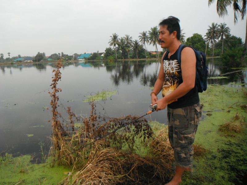 พอมาถึงหมายข้างไม่พูดพร่ำทำเพลงกันเลยหรือน้าที...