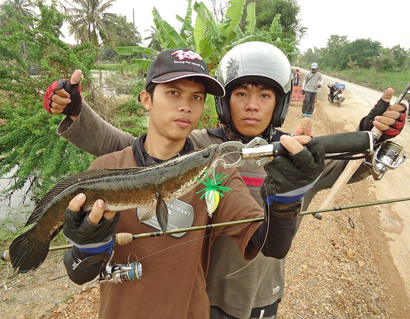 ทัสโตะ...จัดมา 1 หน่วย  ยืนตี..อยู่ในน้ำ ซะด้วย !!!   :grin: :grin: :grin: :cool: :cool: :cool:

 