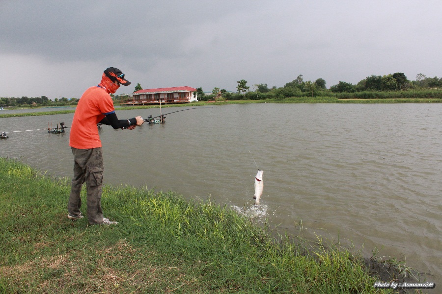 ขอโดนบ้างครับ :laughing: :laughing: