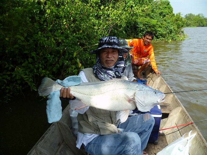 น้ามัดจัง ขอบางแก่บอกว่าเป็นปลาน้ำจืดตัวที่ใหญ่มาเท่าที่แก่มาตกปลาที่เมืองไทยก็ว่าได้ครับ ตาร้อนมากๆ
