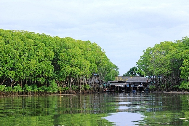 หันหลังกลับไปดู ที่เรานั่งเรือผ่านมาป่าไม้โกงกาง เขียวชอุ่ม เห็นแล้วสบายตาจัง 