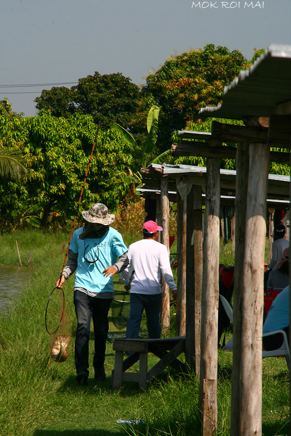 เดินสวนกันมาชั่งปลาทั่วบ่อ วุ่นวายเล็กน้อย :cool: