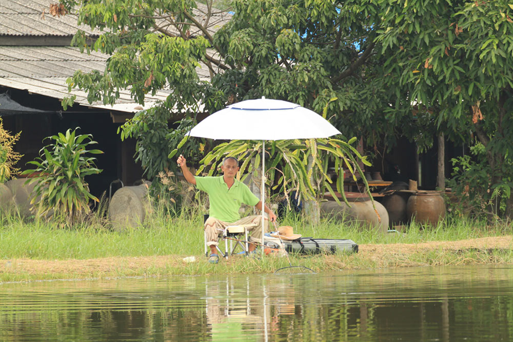 ปลานิลรวม  น้าชูครับ :cheer: