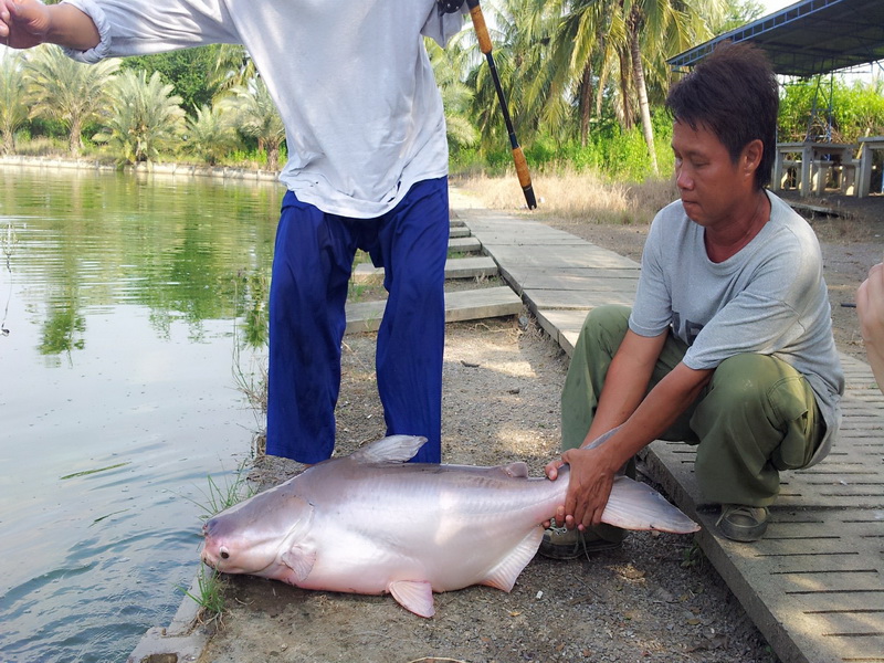 น้าตุ้ยกะน้าตี๋ ก็ได้ขึ้นมาอีกตัวคับ :love: