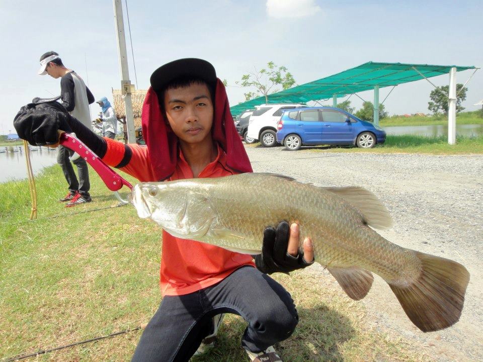 ขออีก รูปครับ มุมนี้ สว่างหน่อย :grin: