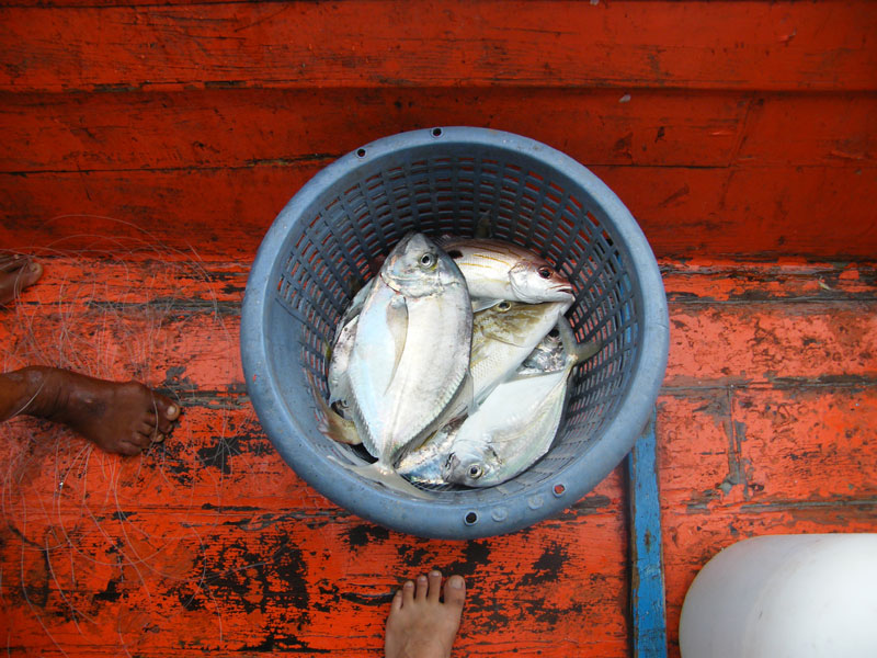 ปลาเช้านี้ ( 10-11-2012 ) ครึ่งเข่ง ที่ 2

และ ๆ ๆ ๆ ๆ ๆ ทั้งวัน ปลาไม่กินอีกเลย หรือกินก็กินแค่ปล