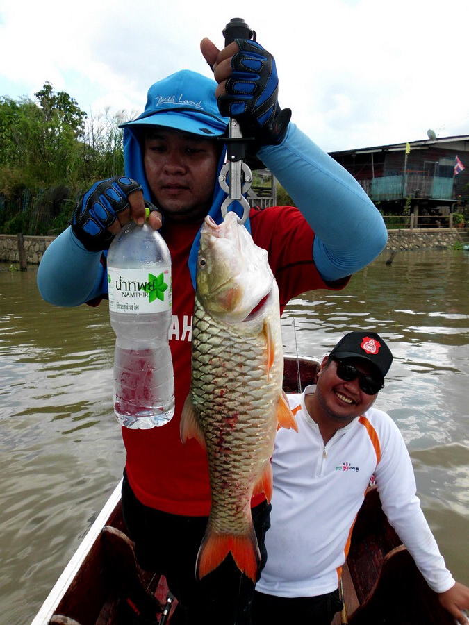  [center][b]วัดขนานกับขวดน้ำขวดใหญ่กันหน่อย 3 โลครับตัวนี้[/b][/center]