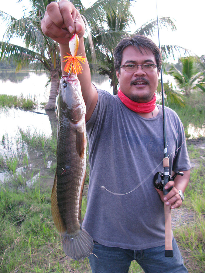 ++กระทู้ที่ 13  [url='http://www.siamfishing.com/board/view.php?tid=638373']http://www.siamfishing