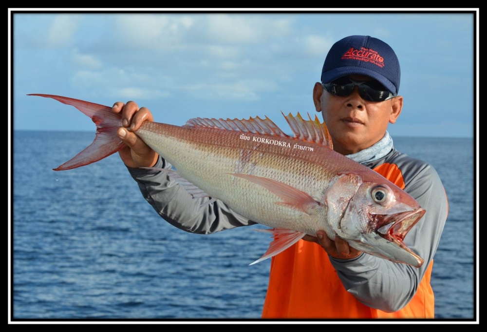 แนะนำสมาชิก....ที่ร่วมทริปเดินทางไปหมายขอบร่อง-ดอนใหม่ในครั้งนี้กันก่อนครับ

ท่านแรก พี่เล็กครับ ค