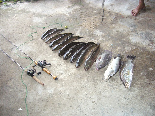 วันพักผ่อนจากชลบุรีสู่สมุทรปราการไปหาปลามากินคับ