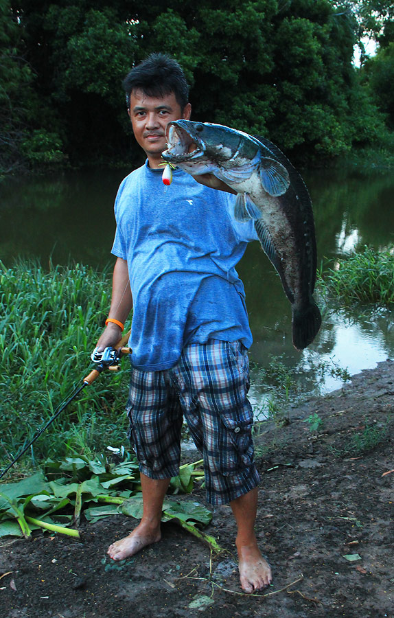 ++กระทู้ที่ 36  [url='http://www.siamfishing.com/board/view.php?tid=648855']http://www.siamfishing