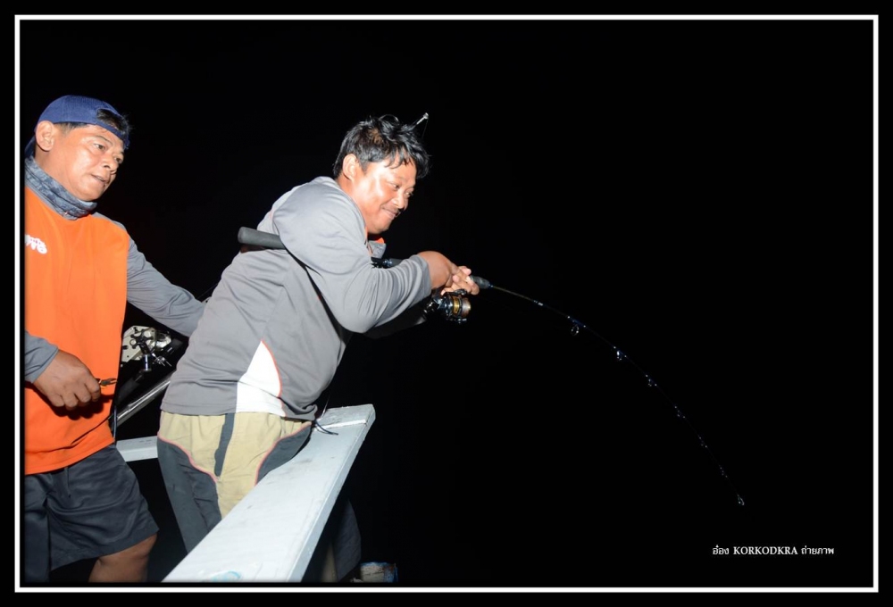 ได้ทดสอบได้ทดลอง.....กำลังกันแล้ว....แต่หางของกระมงพร้าวแข็งและคมสุดท้ายก็บาดสายพีอี 3 ขาดไปอย่างน่า